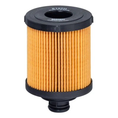 Kuva HENGST FILTER E107H D166 Öljynsuodatin Suodatinpanos OPEL: Astra H Caravan, Corsa D Hatchback, FIAT: Punto II Hatchback