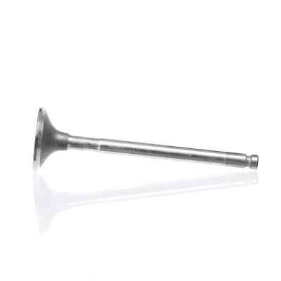 Kuva Imuventtiili, Imupuoli FIAT, LANCIA OE 1669766, 46413806, 46517325