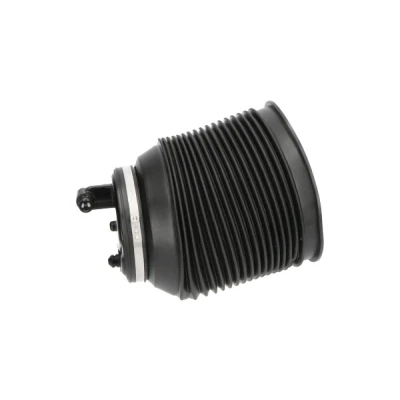 Kuva Ilmajousi, jousitus KAVO PARTS SAS 10016