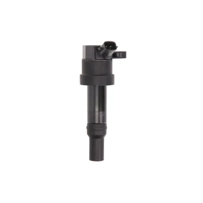Kuva DELPHI GN10585 12B1 Sytytyspuola 2 12