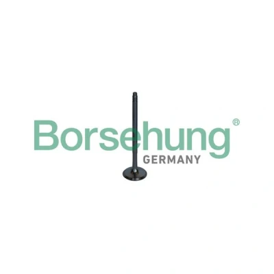 Kuva Pakoventtiili Borsehung B10326 bmw OE 11347553772