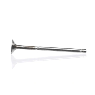 Kuva Imuventtiili, Imupuoli ALFA ROMEO, CHEVROLET, FIAT, FORD, LANCIA, OPEL, SUZUKI, VAUXHALL OE 12911 85E00, 46518930, 55195680
