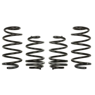 Kuva EIBACH Pro Kit E10 75 008 11 22 Madallusjouset