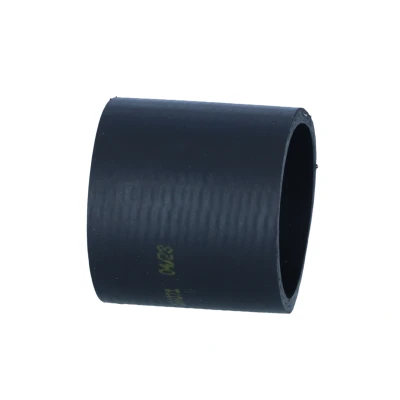 Kuva NRF 166071 Ahdinletku