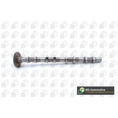 Kuva Nokka akseli, Poisto BMW, MINI OE 11318506077, 11318575438