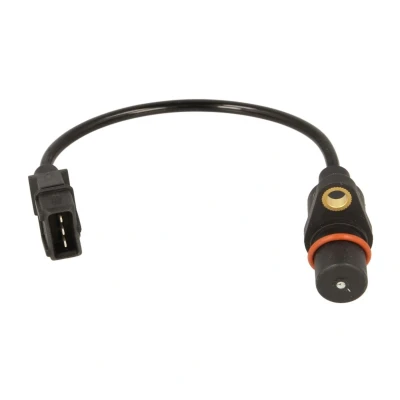 Kuva DELPHI SS10152 12B1 Kampiakselin Asentotunnistin 3
