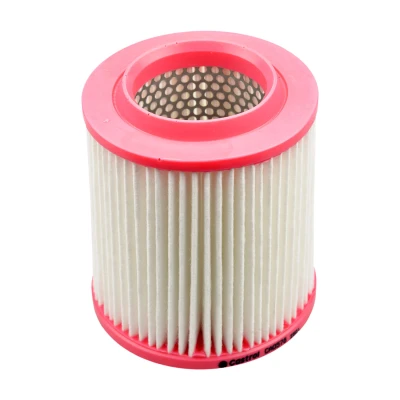 Kuva Castrol filters CA0578 Ilmansuodatin 152mm Kiertoilmasuodatin AUDI: A8 D3 (4E2, 4E8) 3.0 TDI quattro 2003 2010