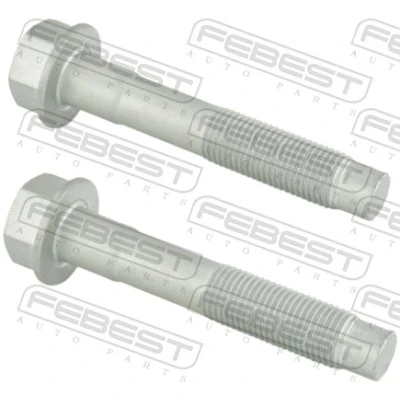 Kuva FEBEST 0298 003 PCS2 Kiinnitysruuvi, Tukivarsi NISSAN: Qashqai 2