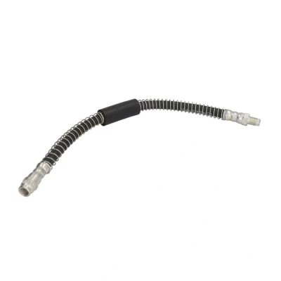 Kuva DELPHI LH6245 Jarruletku 350 M10x1 Int SF