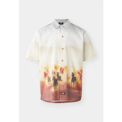 Kuva Dickies Running WILD Vapaaajan kauluspaita, Koko: XS, Oak buff