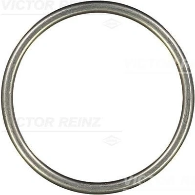 Kuva REINZ 71 26201 10 Pakosarjan Tiivisteet