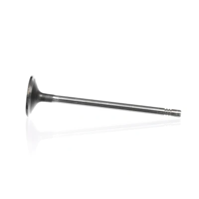 Kuva Imuventtiili, Imupuoli CITROËN, FIAT, IVECO OE 504072531, 504238926, MK667080
