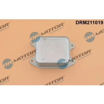 Kuva DR.MOTOR AUTOMOTIVE DRM211019 Öljynjäähdytin VOLKSWAGEN: Sharan II