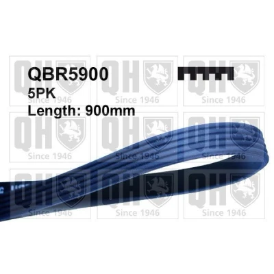 Kuva QUINTON HAZELL QBR5900 Moniurahihna 900 5 BMW: Sedan, 3 Touring, RENAULT: TWINGO 1