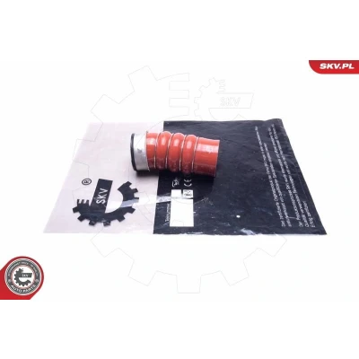 Kuva Ahdinletku BMW X5 [E70], X6 [E71, E72] OE 11617823961