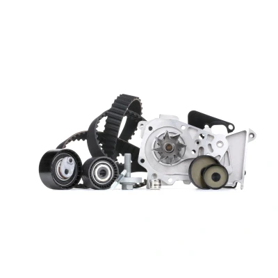 Kuva INA 530 0640 30 Vesipumppu + Jakohihnasarja Vesipumpulla RENAULT: MEGANE 1 Classic, 2 Kombi, Stufenheck, DACIA: Duster SUV
