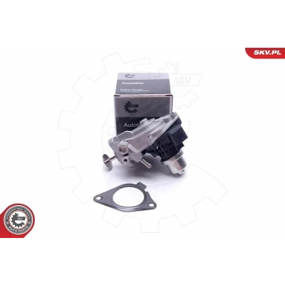 Kuva ESEN SKV 14SKV233 EGR Venttiili BMW: 3 Touring, X3, 5 Sedan, TOYOTA: Avensis III Farmari, Verso
