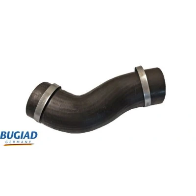 Kuva BUGIAD 82340 Ahdinletku Kuorilla