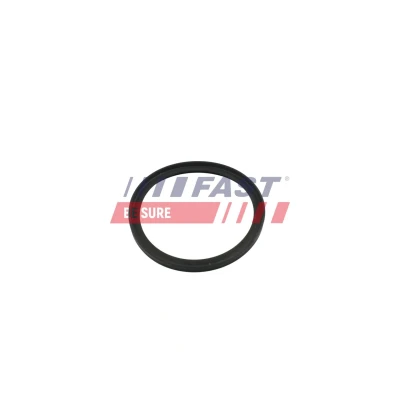 Kuva FAST FT49853 Tiiviste, Alipainepumppu FORD: Transit Mk6 Van, V363 Bussi