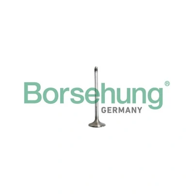 Kuva Imuventtiili Borsehung B10327