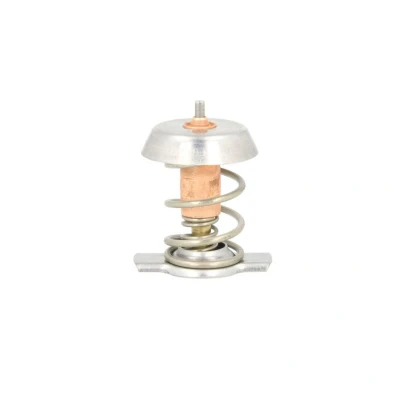 Kuva THERMOTEC D2X002TT Termostaatti 92 36,8 Ilman tiivisteitä Kopalla