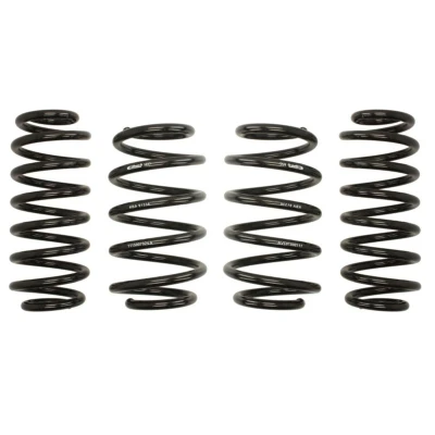 Kuva EIBACH Pro Kit E10 85 031 02 22 Madallusjouset VOLKSWAGEN: Jetta 4