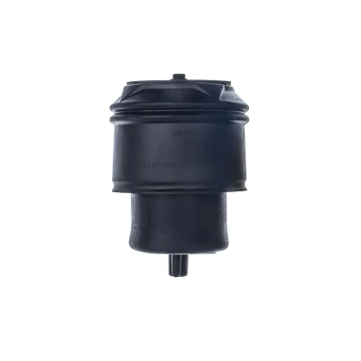 Kuva DENCKERMANN DSA129G Ilmajousi, Jousitus Taka akseli
