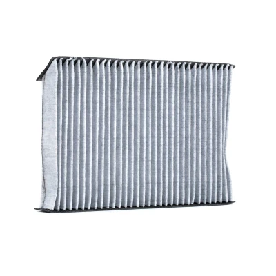 Kuva VALEO CLIMFILTER PROTECT 715647 Raitisilmasuodatin Aktiivihiilisuodatin 262 173 35 RENAULT: MEGANE 3 Grandtour, 3, Coupe