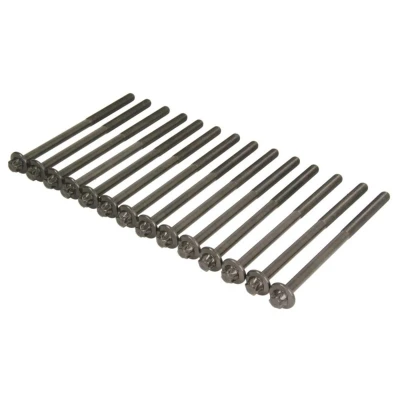Kuva ELRING 233.380 Kannen Pultit Torx, ulko BMW: 5 Touring, X5, 3 Touring