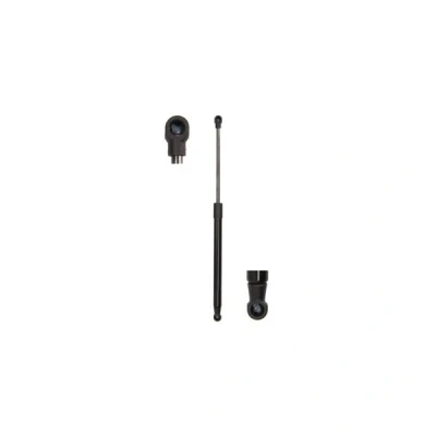 Kuva Kaasujousi, takalasi RENAULT MEGANE Scenic, SCÉNIC Minibus, minivan I OE 7700354322