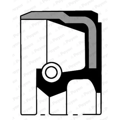 Kuva PAYEN NA5104 Kampiakselin Tiiviste PTFE (polytetrafluorietyleeni) BMW: 3 Coupe, 5 Touring, ROVER: 75, LAND Freelander I SUV