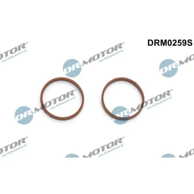 Kuva DR.MOTOR AUTOMOTIVE DRM0259S Tiivistesarja, Imusarja FORD: MONDEO 4 Turnier, Grand C Max, FIESTA 6, PEUGEOT: 207 Hatchback, 208 I 508 SW