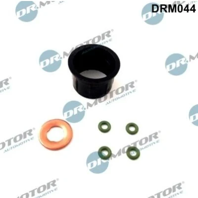 Kuva DR.MOTOR AUTOMOTIVE DRM044 Tiivistesarja, Ruiskutussuutin