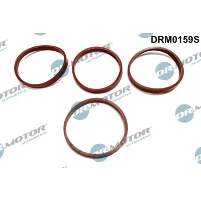 Kuva DR.MOTOR AUTOMOTIVE DRM0159S Tiivistesarja, Imusarja PEUGEOT: 207 Hatchback, 206 307 SW