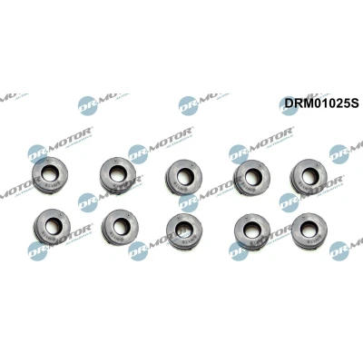 Kuva DR.MOTOR AUTOMOTIVE DRM01025S Rajoitin, Moottorikoppa