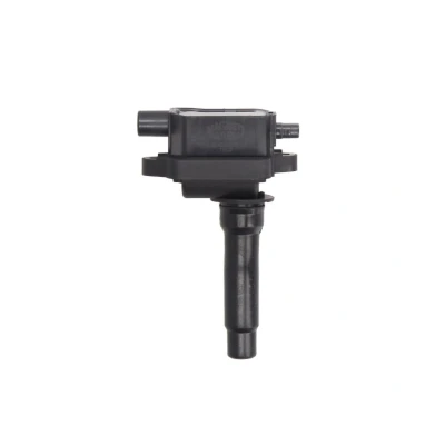 Kuva MAGNETI MARELLI 060717097012 Sytytyspuola