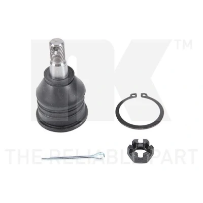Kuva NK 5045202 Alapallonivel