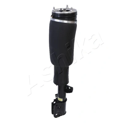 Kuva Ilmajousijalka, Etuakseli, oikea LAND ROVER RANGE III OE RNB000060, RNB000740