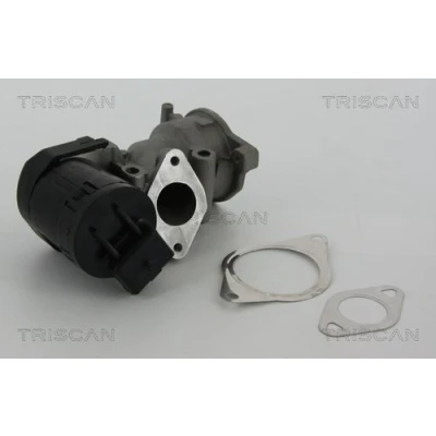 Kuva TRISCAN 8813 10001 EGR Venttiili Sähköinen Tiivisteillä VOLVO: V70 3, V50, S40 II, FORD: MONDEO 4 Turnier, Focus 2 Kombi,