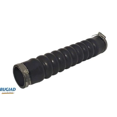 Kuva BUGIAD 82300 Ahdinletku Kuorilla