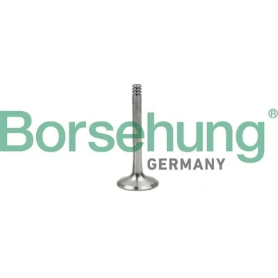 Kuva Borsehung B18997 Pakoventtiili VOLKSWAGEN: Transporter 5, Golf 4 Variant, Bora Sedan, AUDI: A4 B6 B7 Avant, Sedan