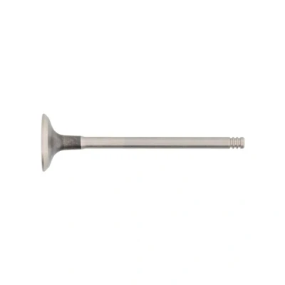 Kuva CORTECO 551868B Pakoventtiili 28,9 pakopuoli RENAULT: Kangoo I, CLIO 3, MEGANE 3 Grandtour, NISSAN: Almera II Hatchback, Qashqai / Qashqai+2 I