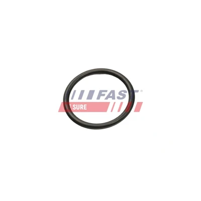 Kuva FAST FT50013 Imuventtiili 41 FIAT: Ducato II Bussi