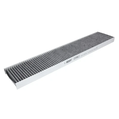 Kuva Raitisilmasuodatin HENGST FILTER E919LC