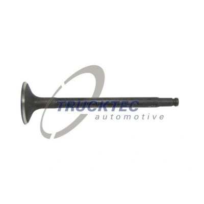 Kuva TRUCKTEC AUTOMOTIVE 02.12.143 Imuventtiili MERCEDES BENZ: C sarja Sedan, T modell