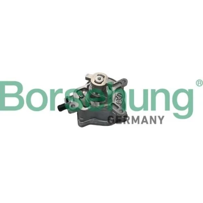 Kuva Borsehung B18774 Alipainepumppu AUDI: TT Coupe