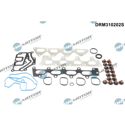 Kuva DR.MOTOR AUTOMOTIVE DRM310202S Tiivistesarja Sylinterikansi RENAULT: MEGANE 3 Grandtour, LAGUNA 2, CLIO 2
