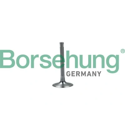 Kuva Borsehung B19028 Imuventtiili AUDI: A4 B7 Sedan, B8 A3 Hatchback, VOLKSWAGEN: Golf 5, Jetta 3, Touran I, SKODA: Octavia II Hatchback