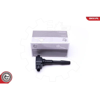 Kuva Sytytyspuola DACIA, NISSAN, RENAULT OE 224332428R, 2244800Q0F