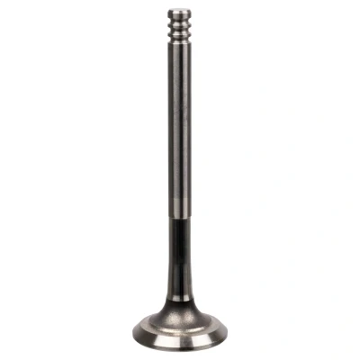 Kuva Pakoventtiili FEBI BILSTEIN 21010